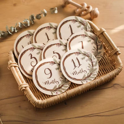 Baby Monthly Milestone Set