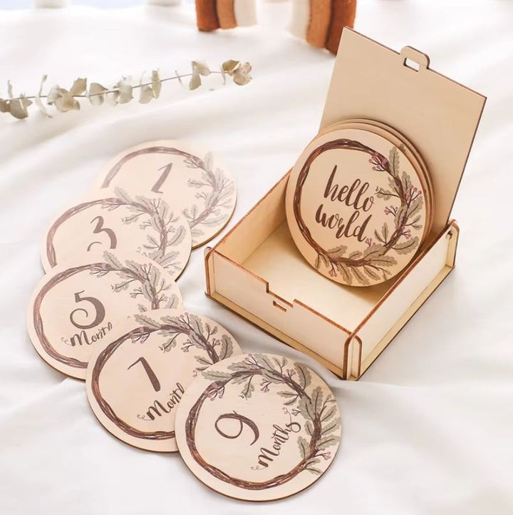 Baby Monthly Milestone Set