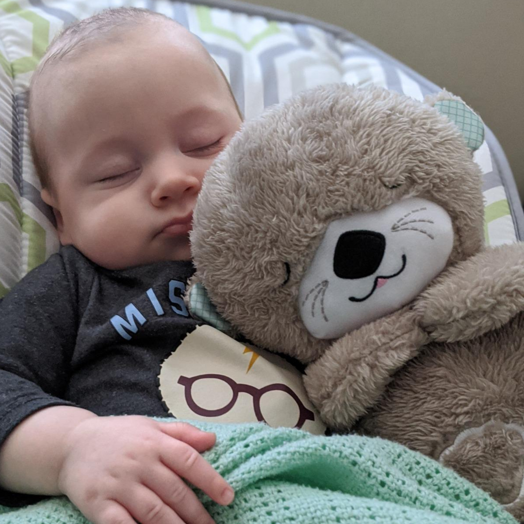Sleep Otter Calming Toy
