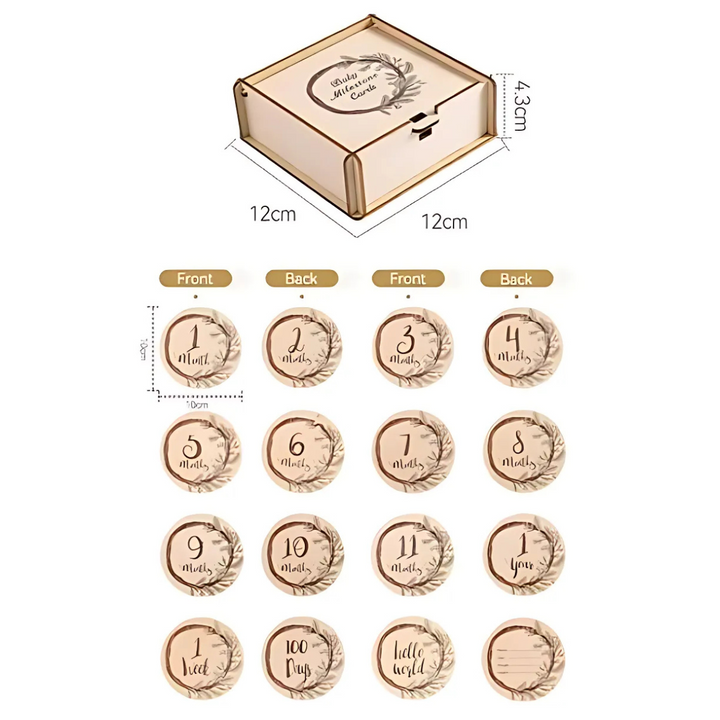 Baby Monthly Milestone Set