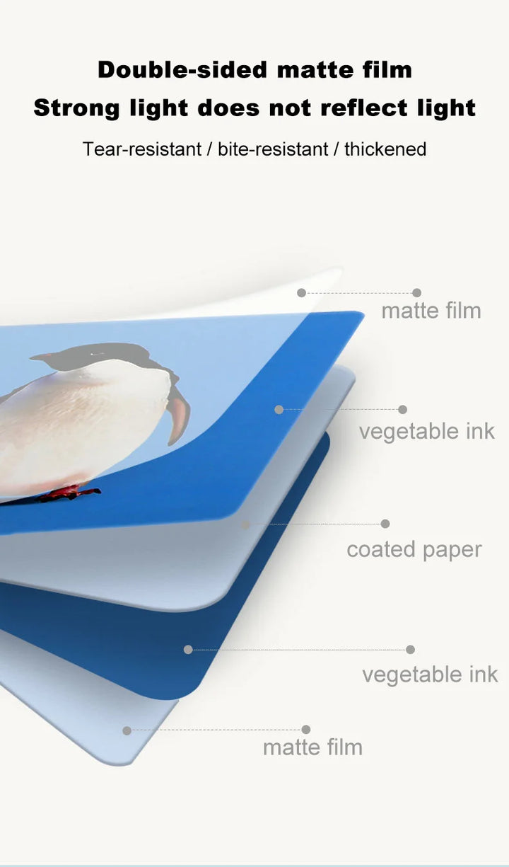 High Contrast Visual Stimulation Cards