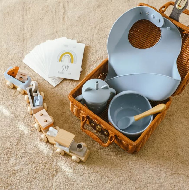 Baby Feeding & Play Set