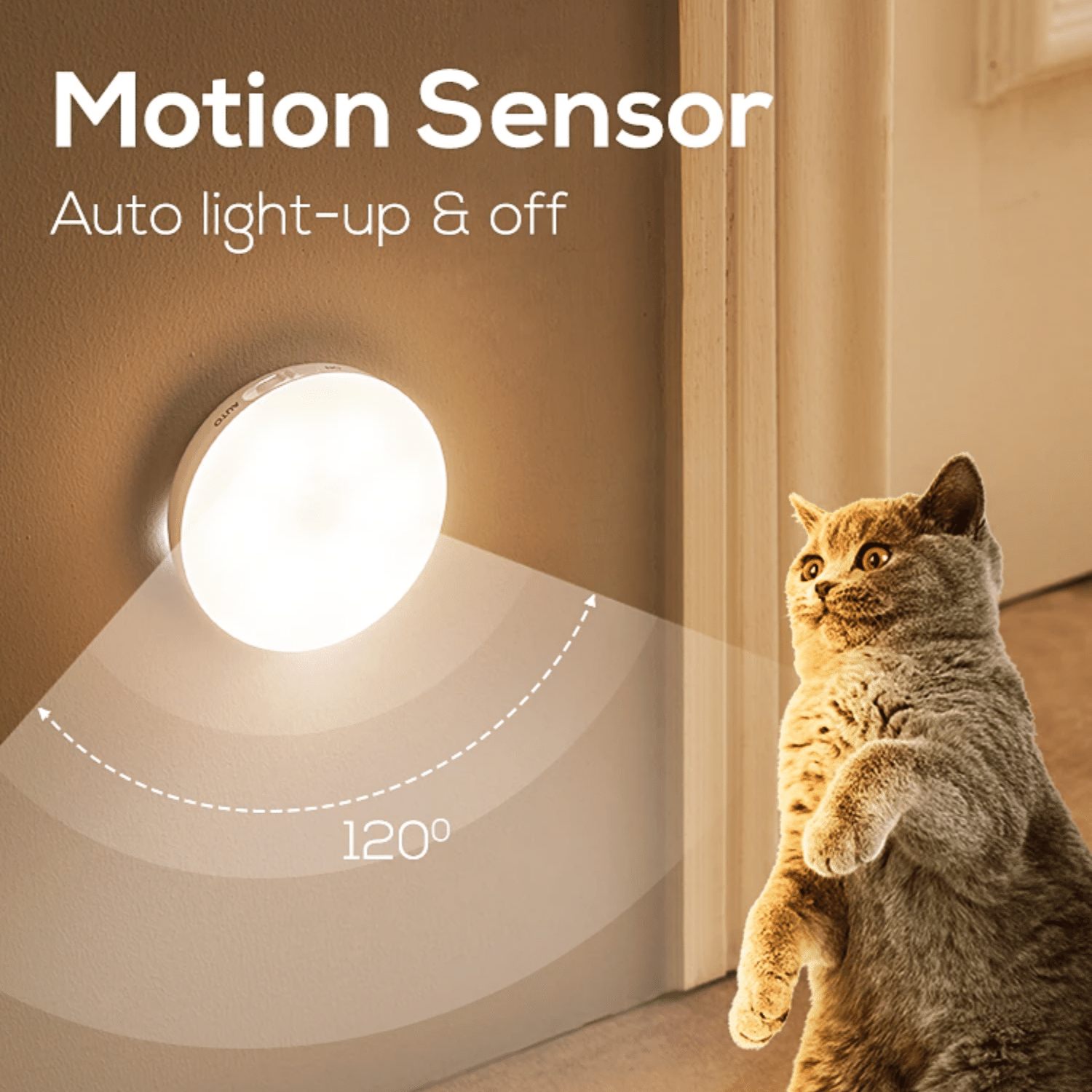 Amber Automatic Motion Sensor Light