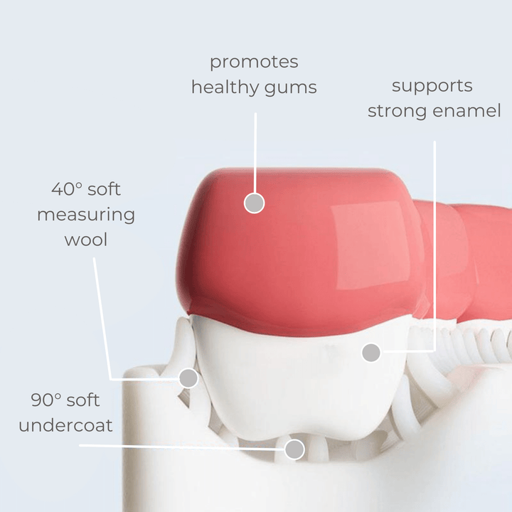 Maya U-Shaped Toothbrush for Toddlers & Kids - Skaldo & Malin