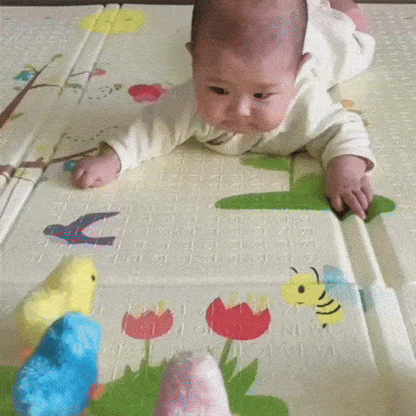 Plush Jumping Chick Toy - 🎉 BUY 1 GET 1 FREE - Skaldo & Malin